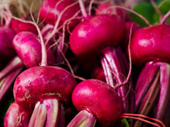 betabel cambray Gaia